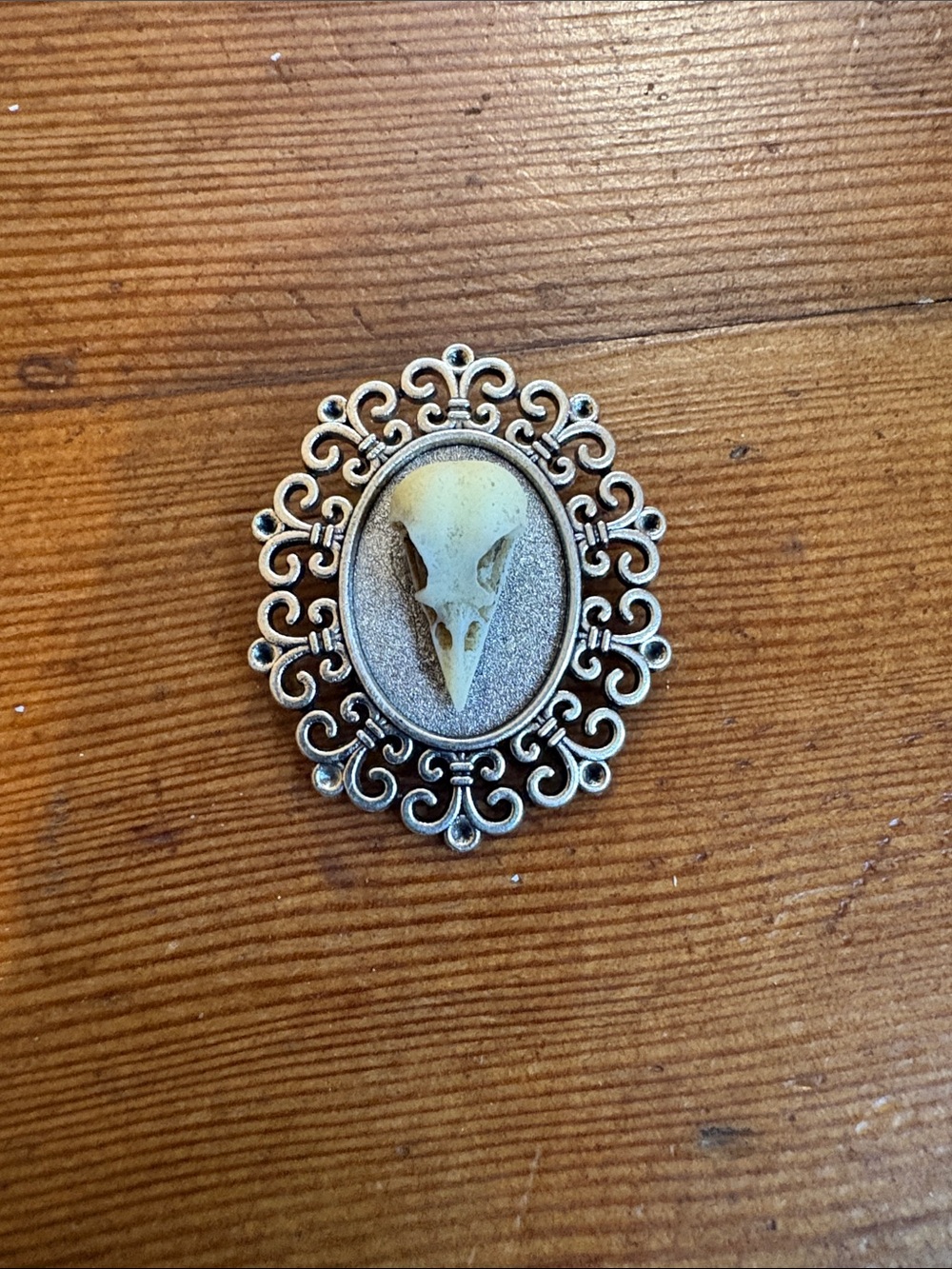 Ornate Hand-Crafted Silver-Tone Bird Skull Cameo Brooch - Silver